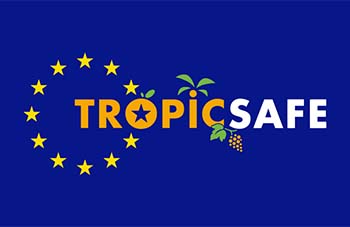 Insect-borne prokaryote-associated diseases in tropical and subtropical crops (TROPICSAFE Project)